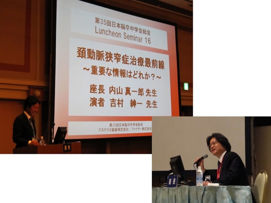 Stroke 2010