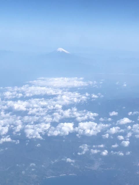 春の富士