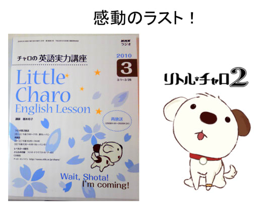 チャロの冒険