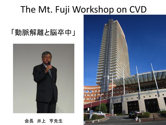 Mt. Fuji Workshop